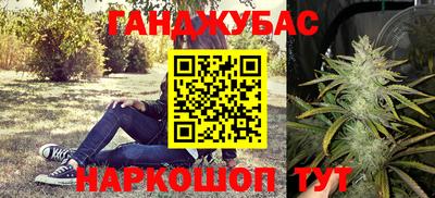 PSILOCYBIN Кинель