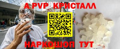 сатива Кингисепп