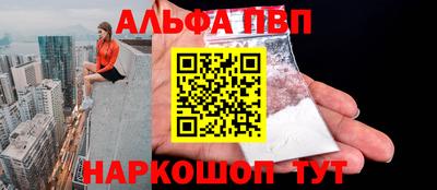 сатива Кингисепп