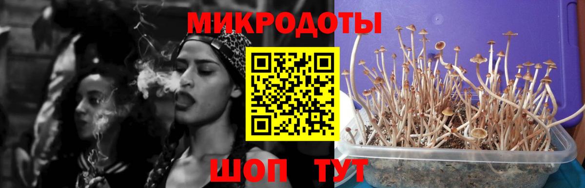 ГАШИШ Клин